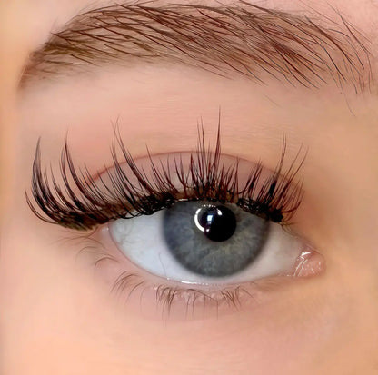 Zyras Magnetic Eyelashes Zyras
