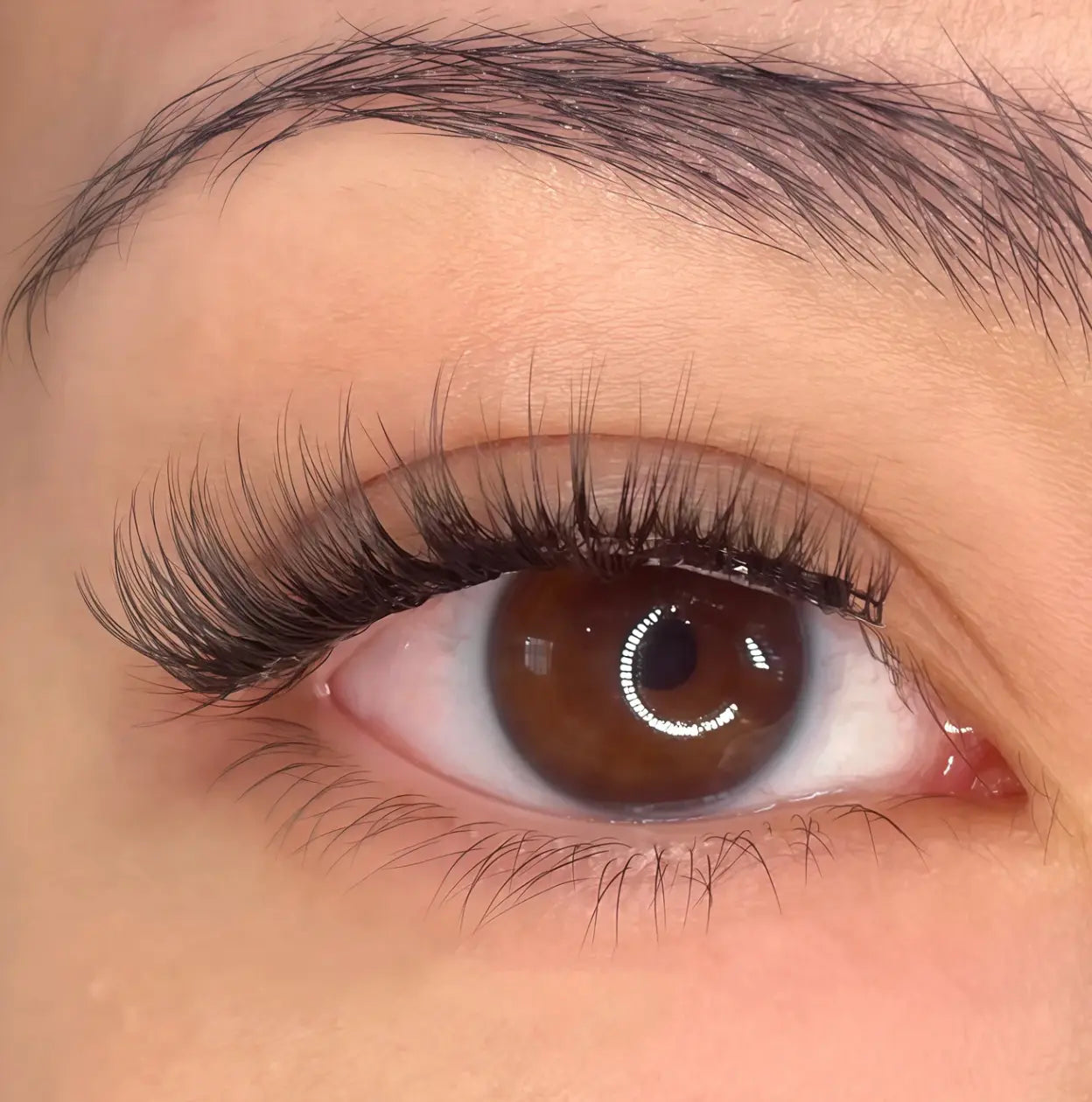 Zyras Magnetic Eyelashes Zyras