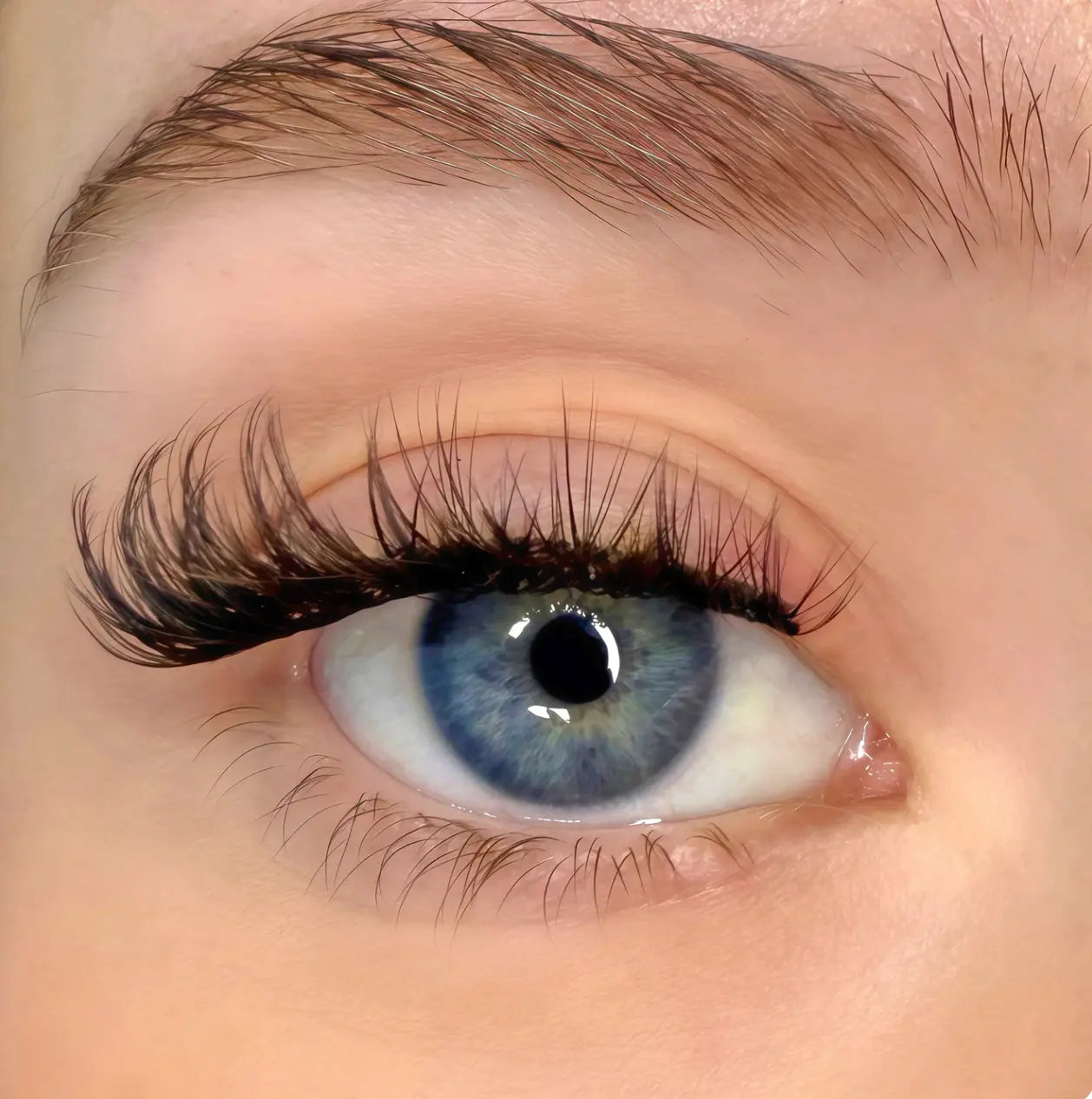 Zyras Magnetic Eyelashes Zyras
